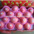 Sell Fuji Apple Small Sizes